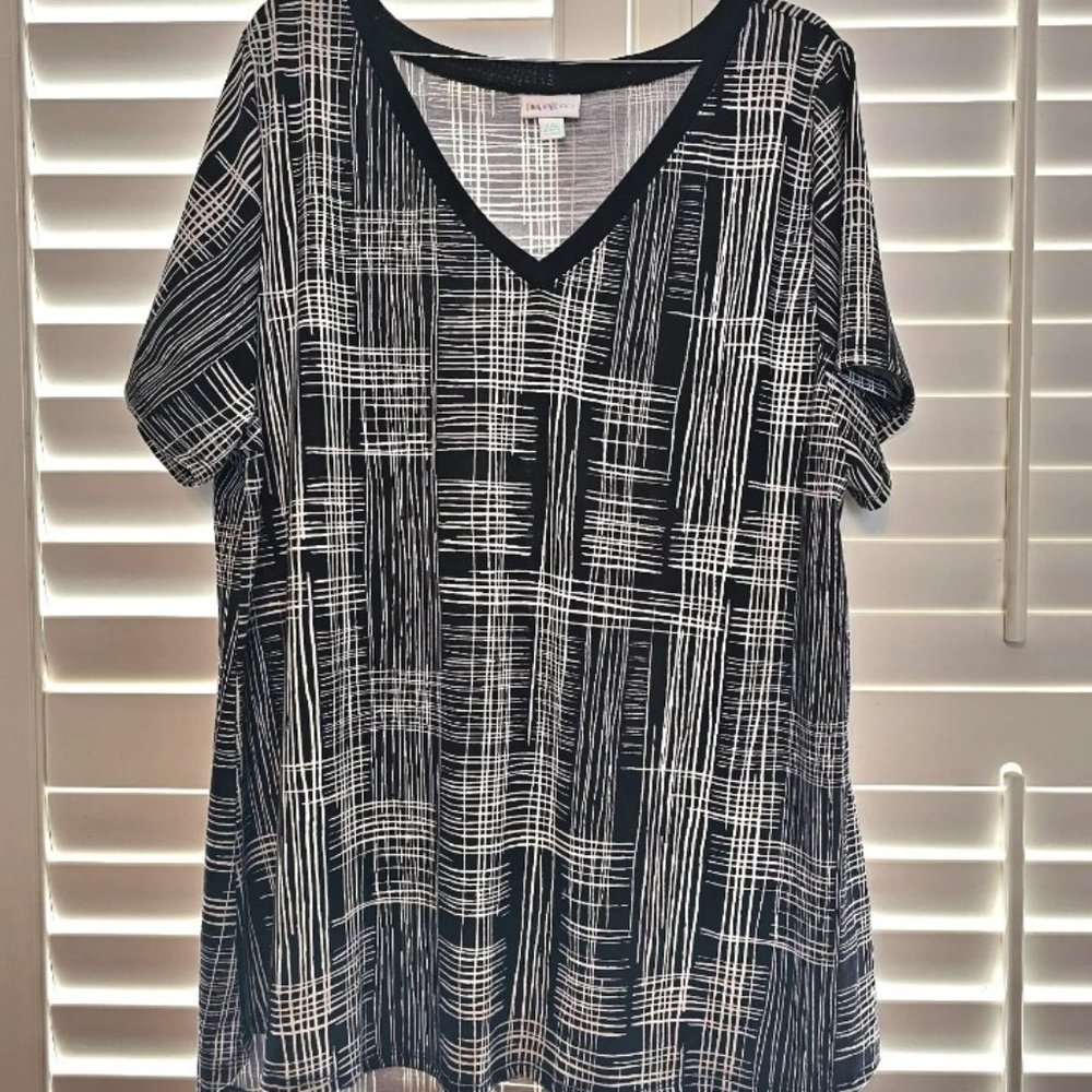 LAST CHANCE T-shirt, Size 2X